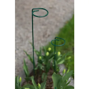 PODPORA DO ROŚLIN OCZKO 90CM