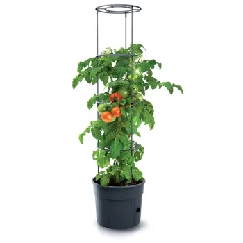 DONICZKA TOMATO GROWER - ANTRACYTOWY 28L