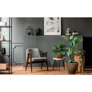 DONICZKA HEOS ECO WOOD - KAWA FSC MIX 25L