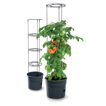 DONICZKA TOMATO GROWER - ANTRACYTOWY 12L
