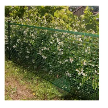 SIATKA PVC QUADRA 20 ZIELONA 0.5M*10MB OCZKO 20MM