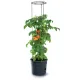 DONICZKA TOMATO GROWER - ANTRACYTOWY 12L