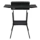 GRILL ELEKTRYCZNY STOJĄCY 2000W 50*25CM