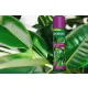 NABŁYSZCZACZ DO LIŚCI SPRAY 250 ML BIOPON